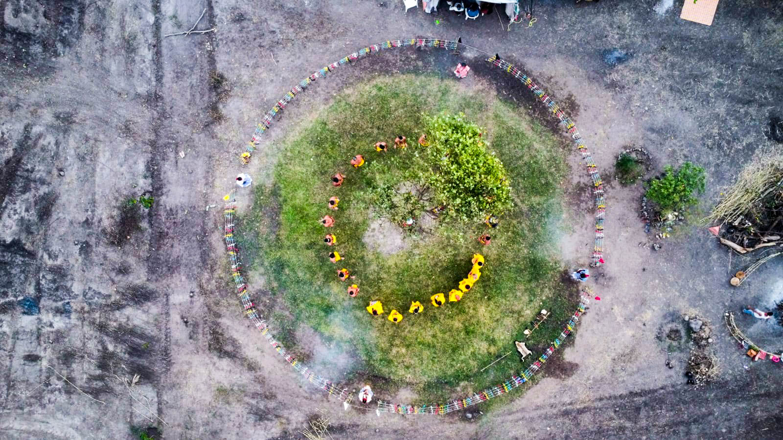 Vista aérea de un encuentro comunitario alrededor de un árbol